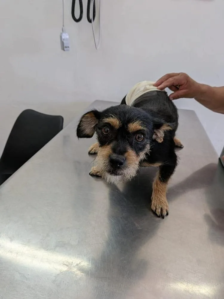 MiMi aka Bex thumbnail 3