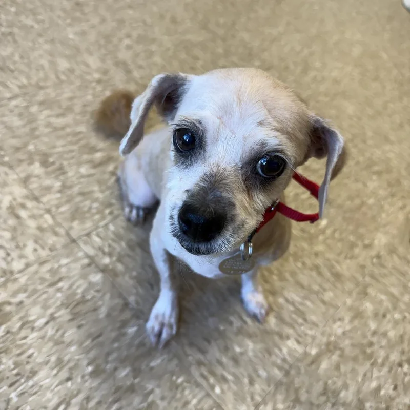 Penelope Lou thumbnail 2