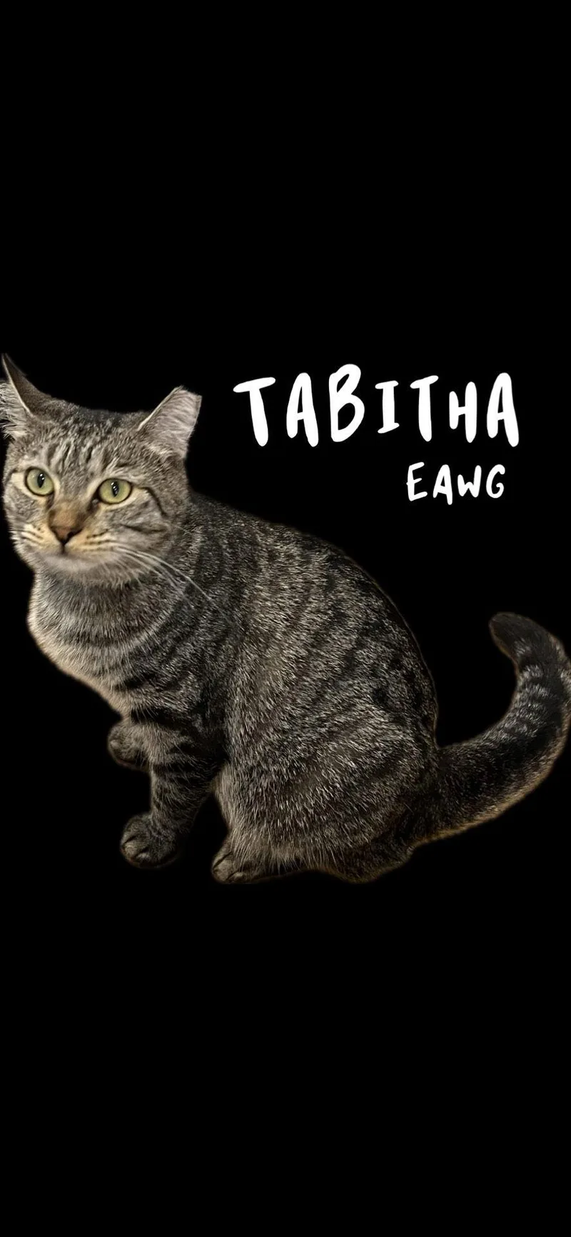 Tabitha thumbnail 2