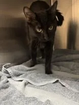 Salem