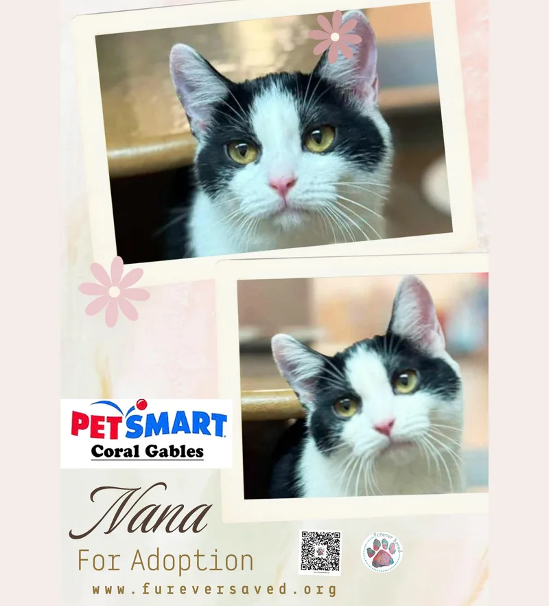 Nana thumbnail 2