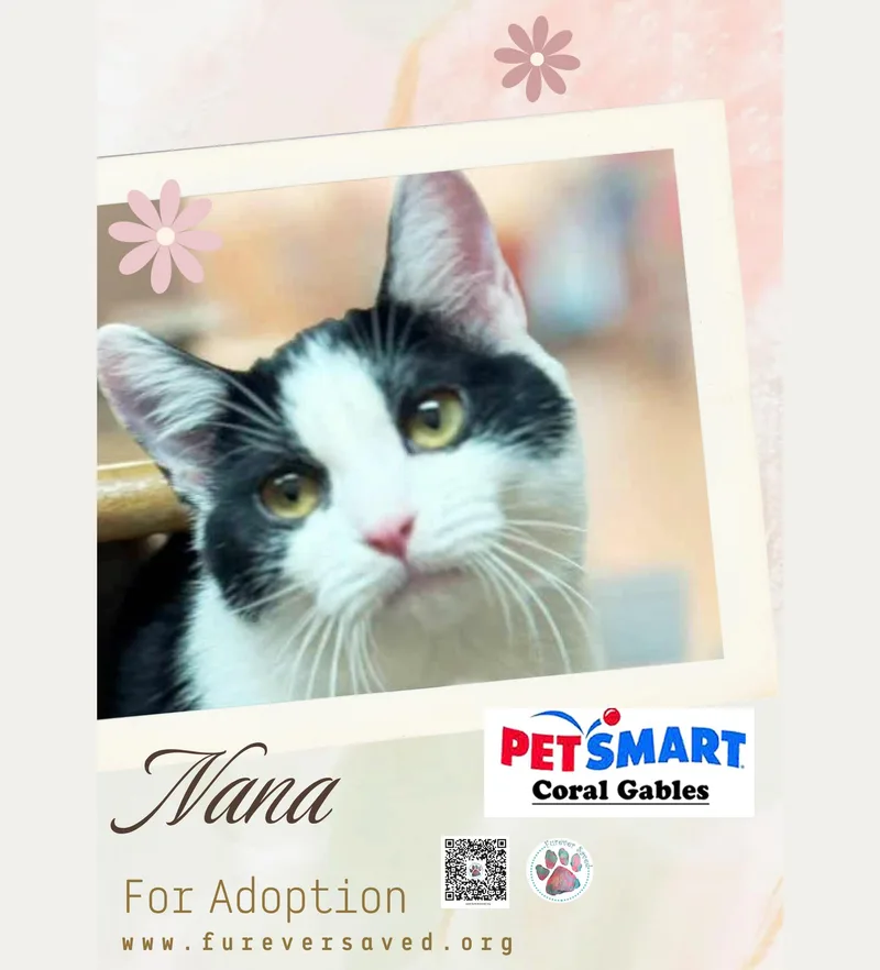 Nana thumbnail 3