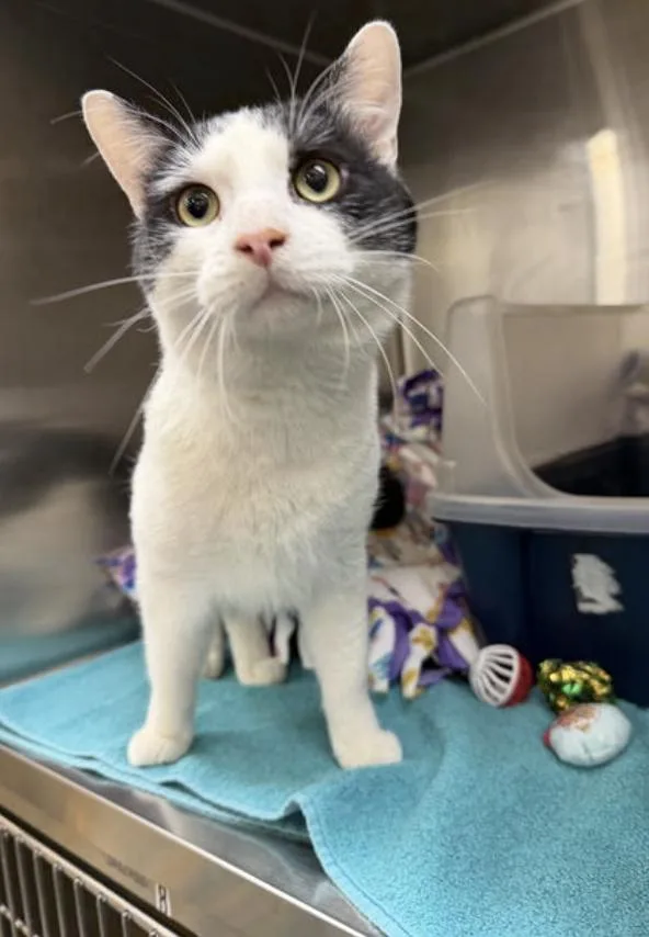 Mickle & Byrdie thumbnail 2