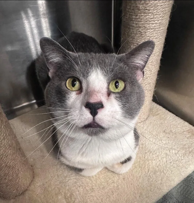 Mickle & Byrdie thumbnail 3