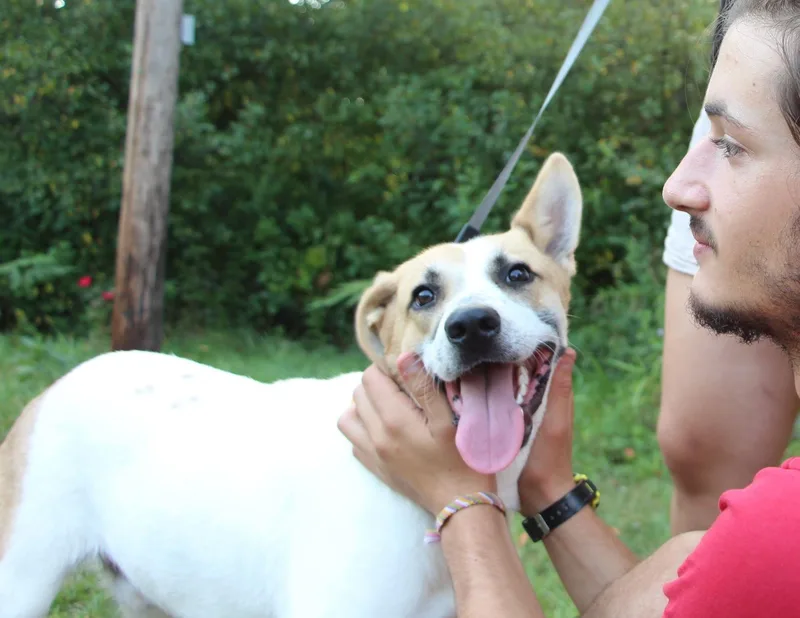 Stitch thumbnail 4