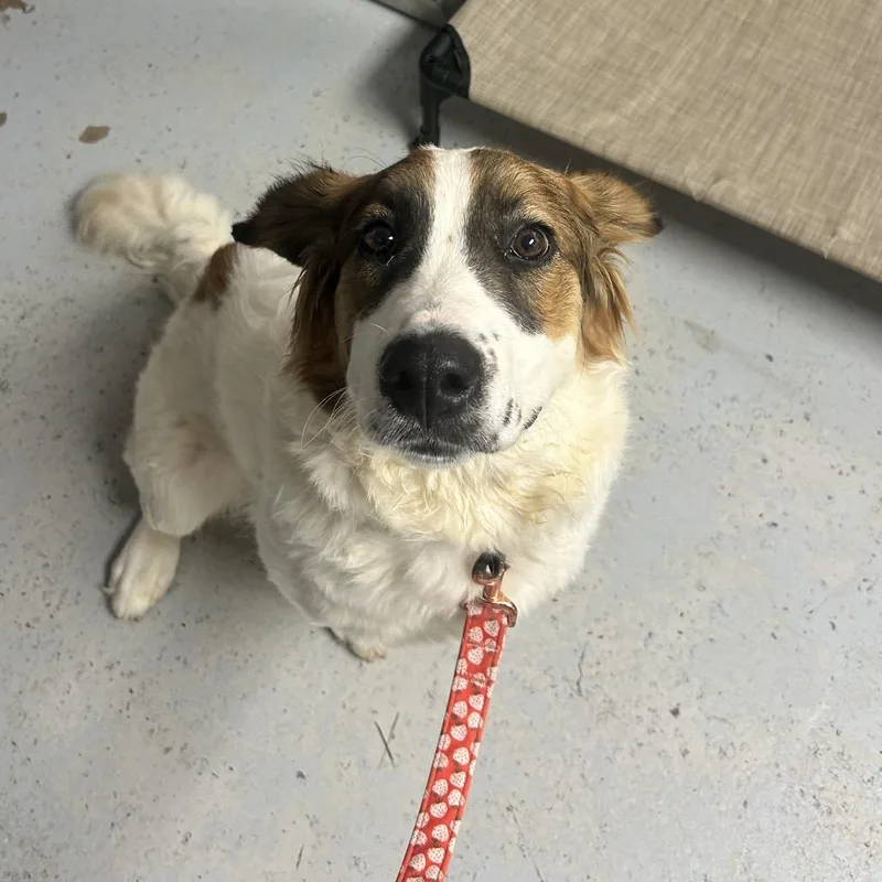 Benny
