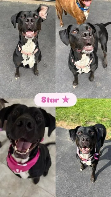 Star thumbnail 5