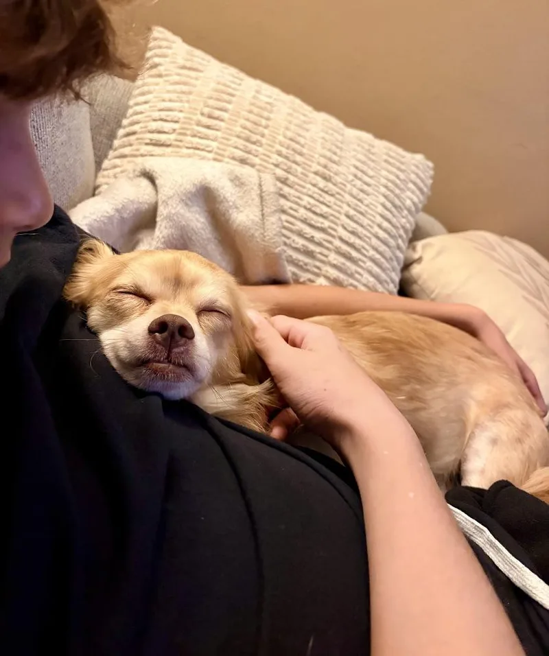 Peanut thumbnail 5