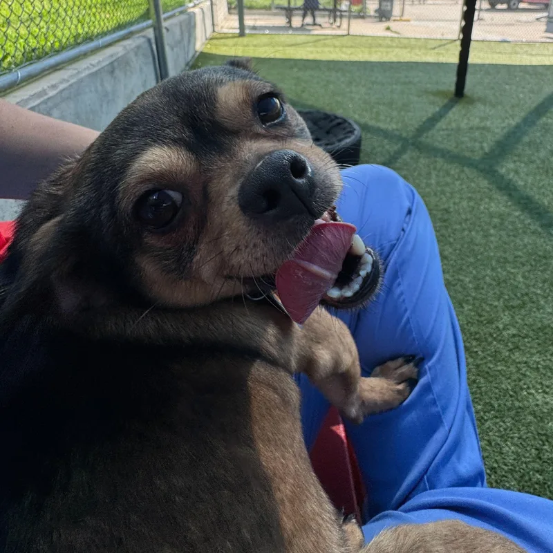 Maura Higgins thumbnail 2