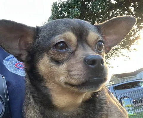 Maura Higgins thumbnail 3