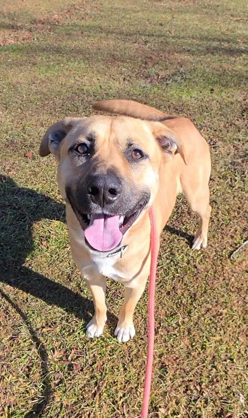 Doug Athens thumbnail 2