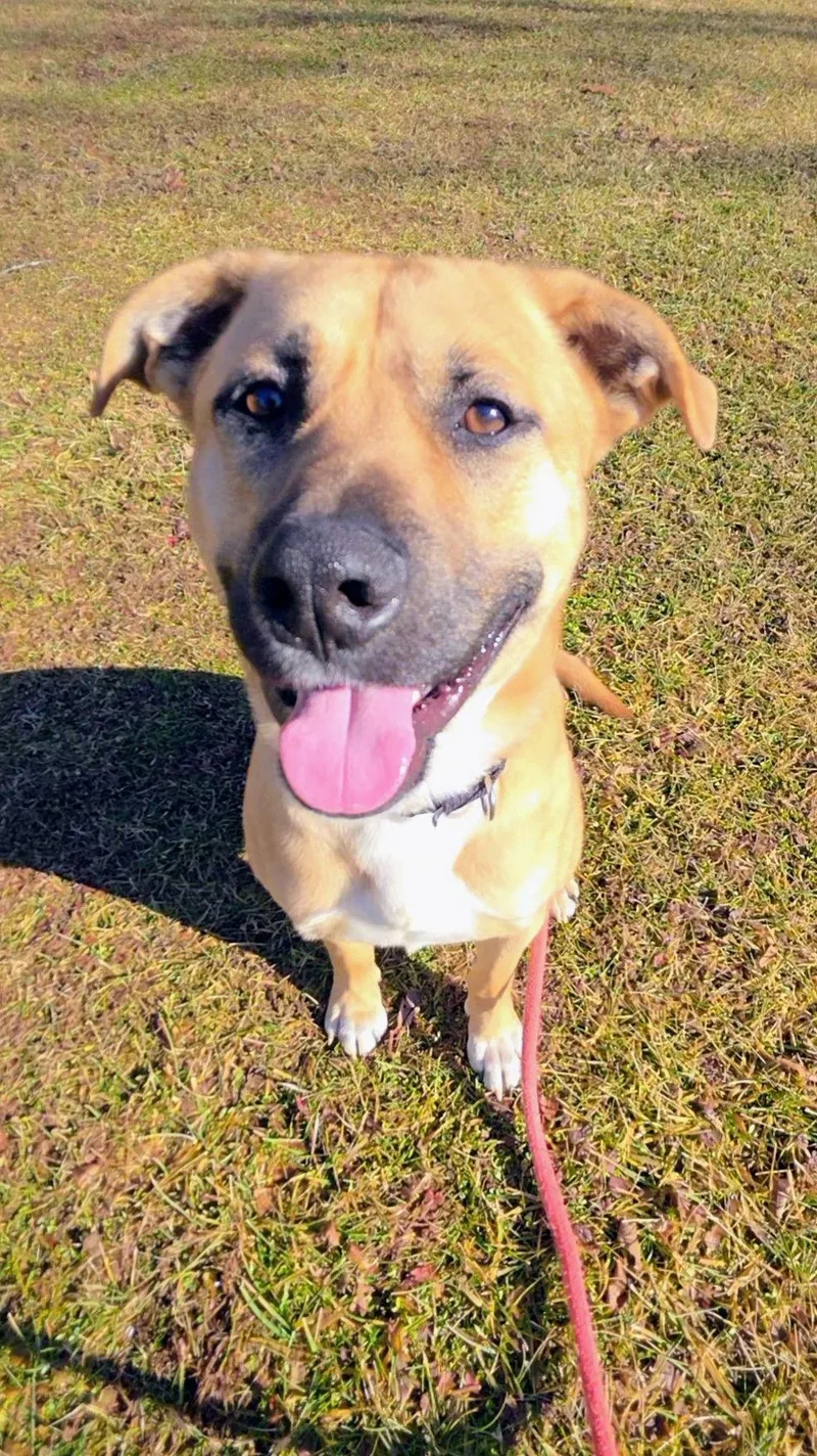 Doug Athens thumbnail 3