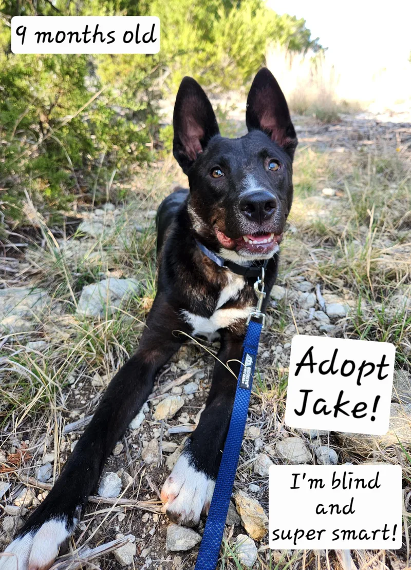 Jake