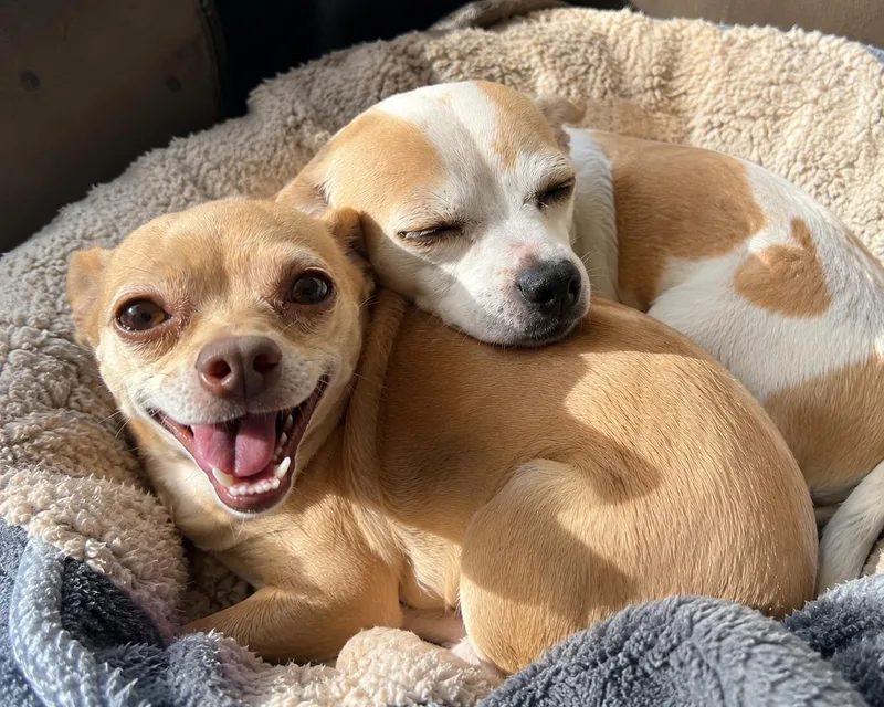 Chloe and Papi