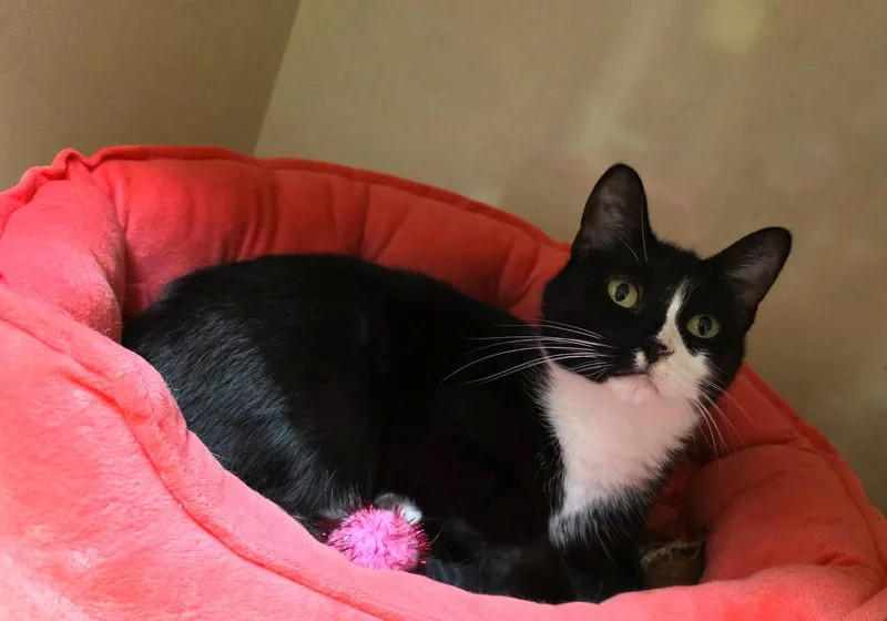 Delilah thumbnail 2