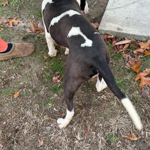 Marty  Such A thumbnail 2