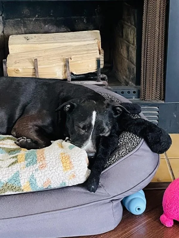 Mystique thumbnail 2