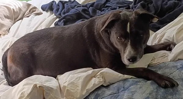 Mystique thumbnail 3