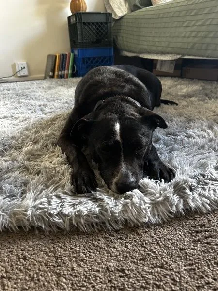 Mystique thumbnail 4