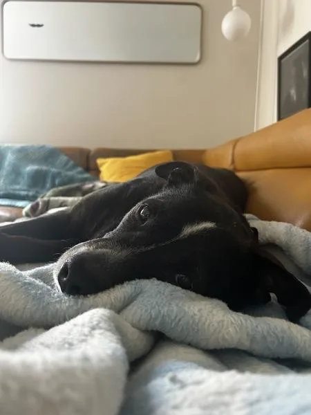 Mystique thumbnail 5