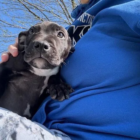 Marley
