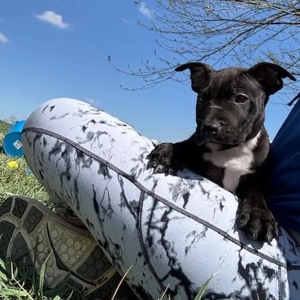 Marley thumbnail 2