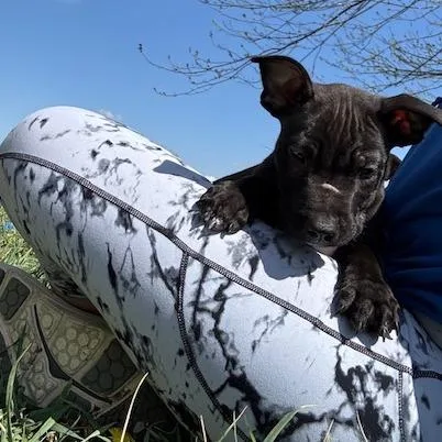 Marley thumbnail 6