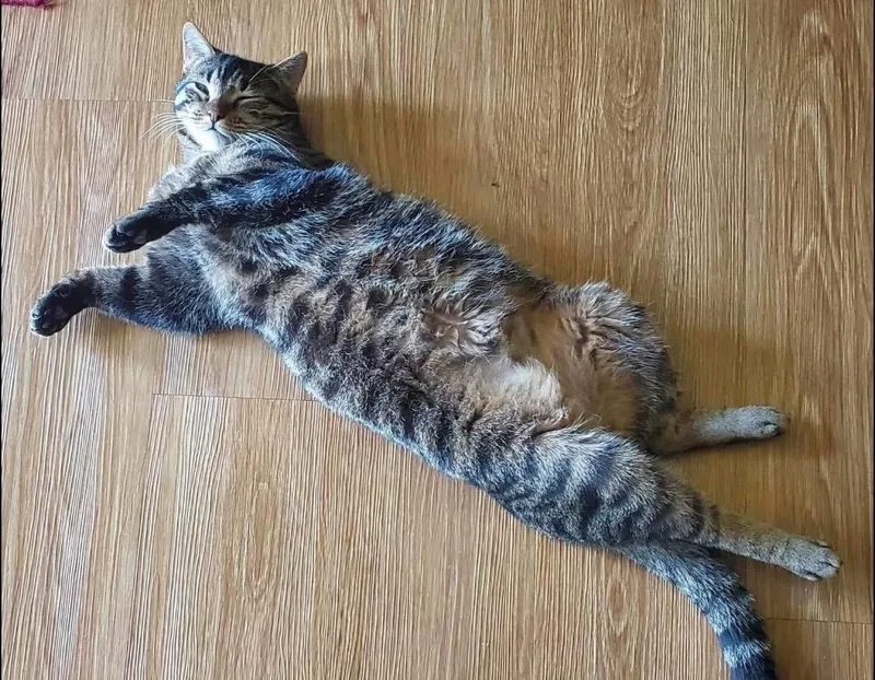 Victoria thumbnail 2