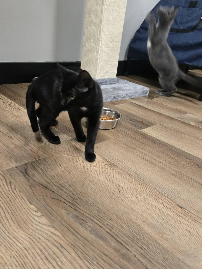 Sometimes thumbnail 4