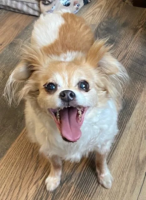 Jake And Lucy thumbnail 2