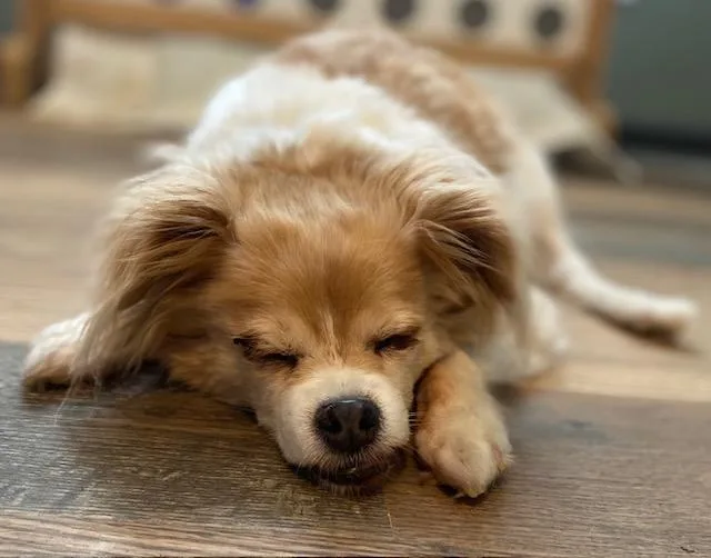 Jake And Lucy thumbnail 3