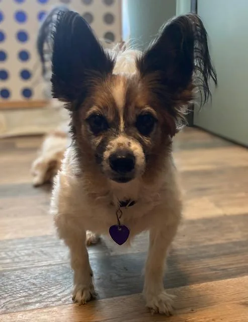 Jake And Lucy thumbnail 4