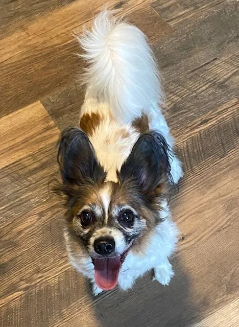 Jake And Lucy thumbnail 5