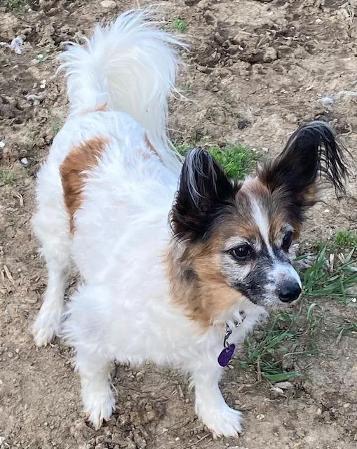 Jake And Lucy thumbnail 6