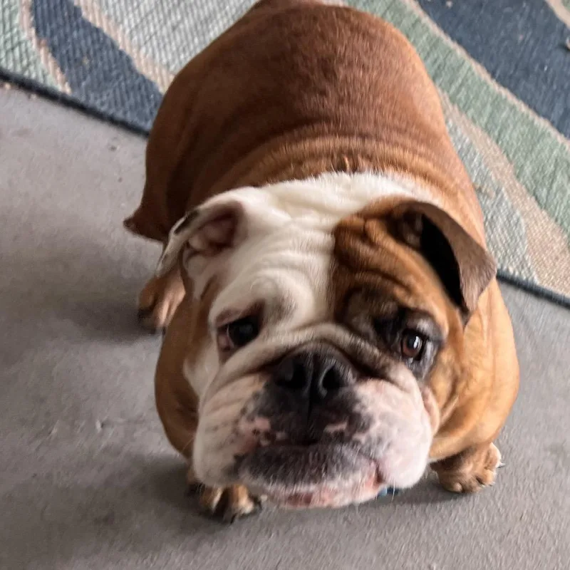 Maggie Mae thumbnail 2