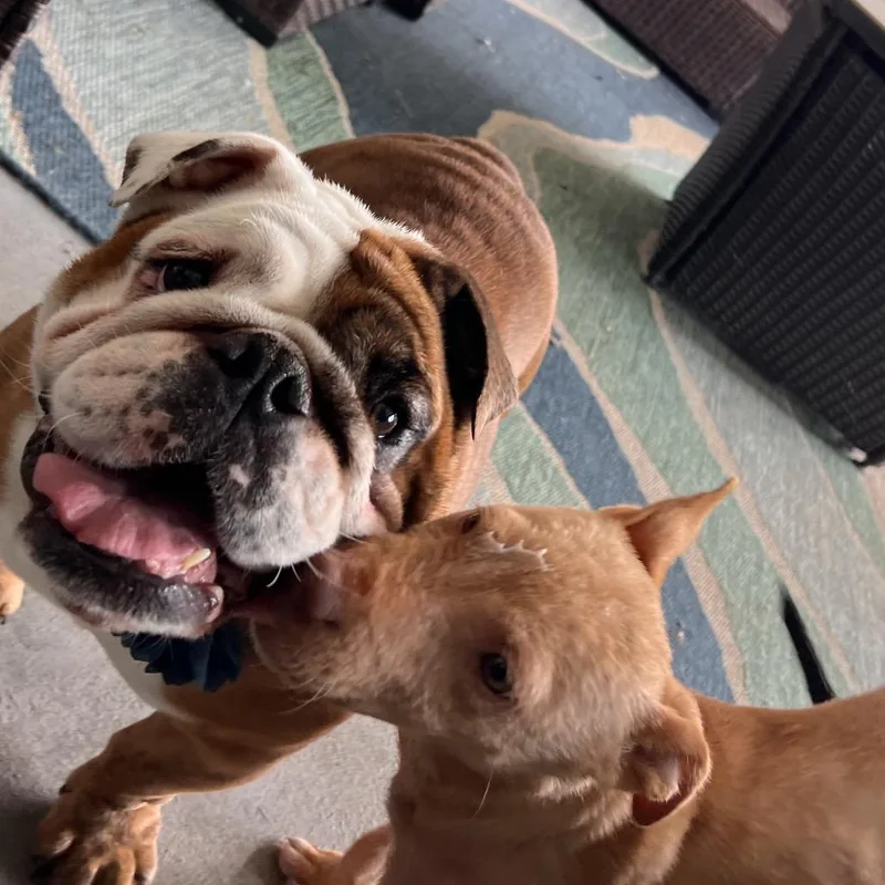 Maggie Mae thumbnail 3