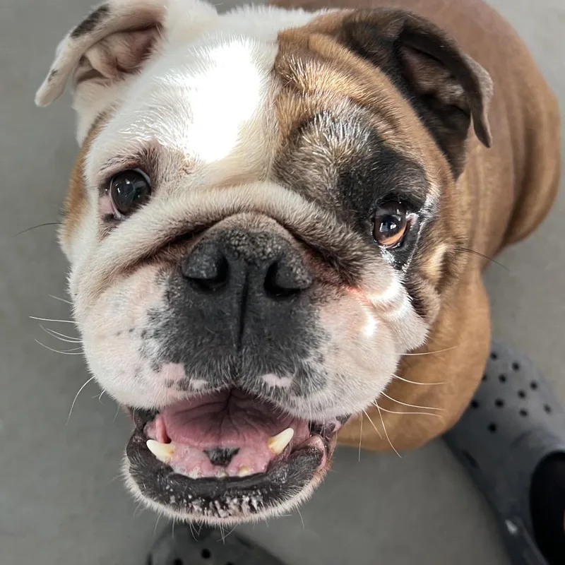 Maggie Mae thumbnail 4