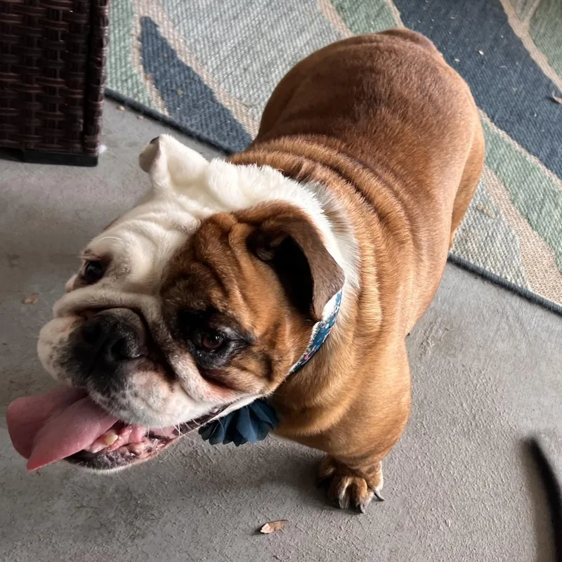 Maggie Mae thumbnail 6