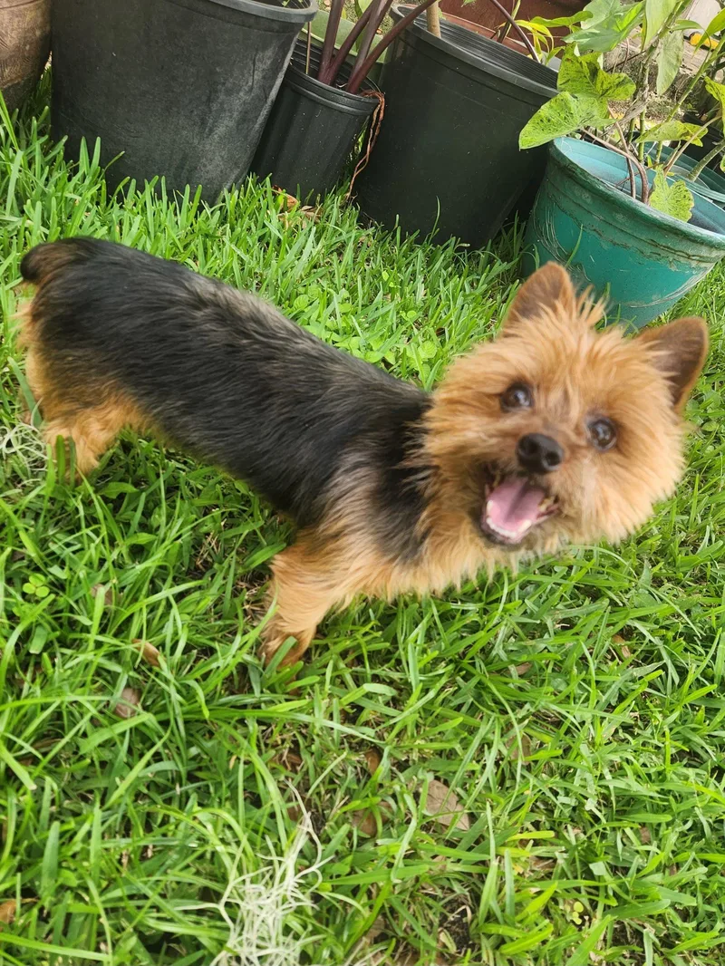 Xicachica thumbnail 4