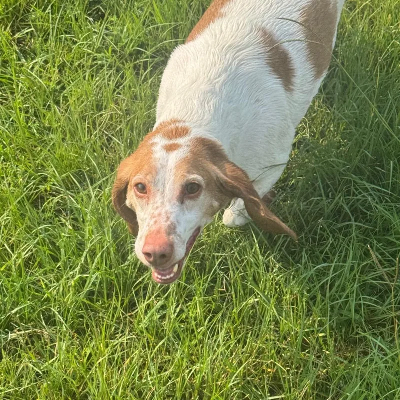 Doug thumbnail 3