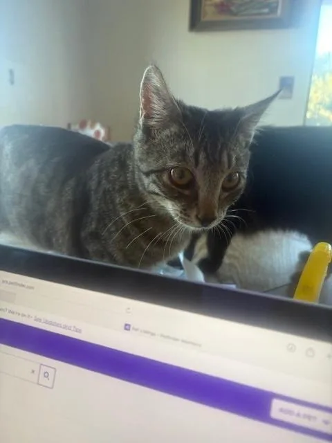 Juan Carlos thumbnail 2