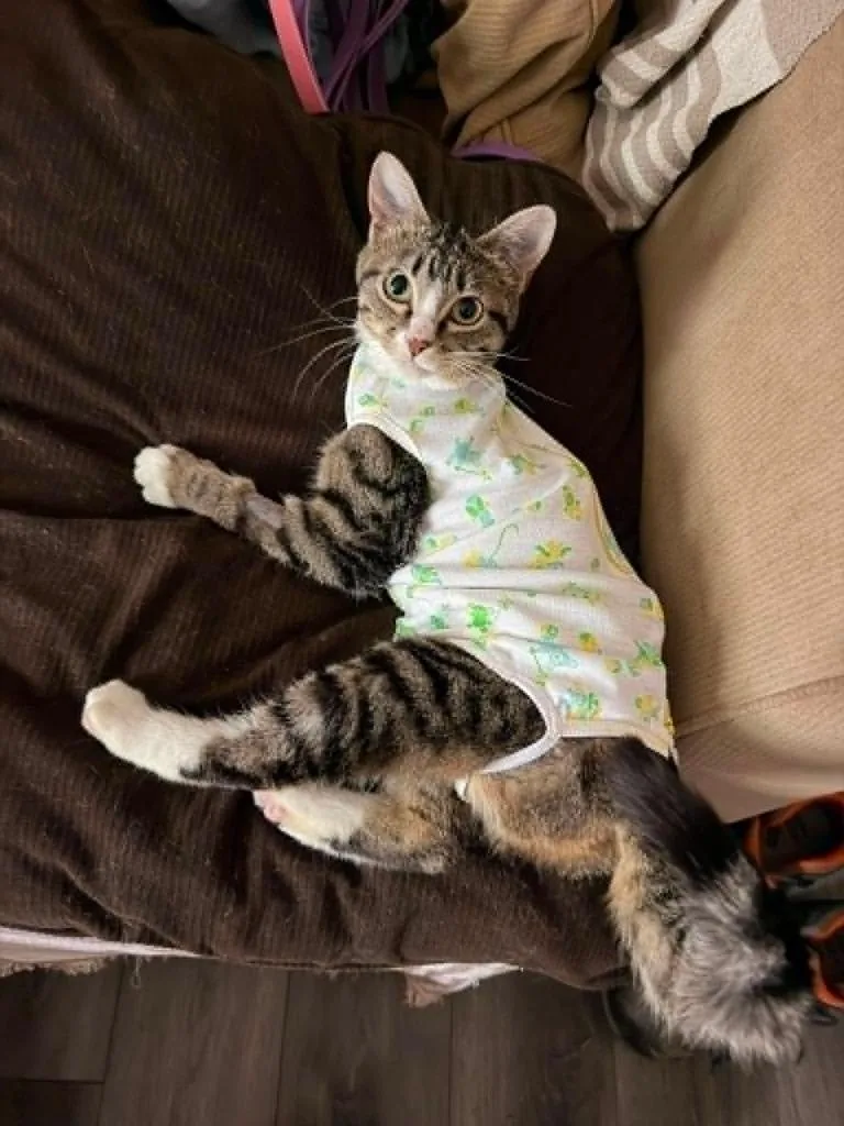Ethel