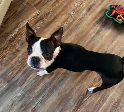 Ellie thumbnail 2