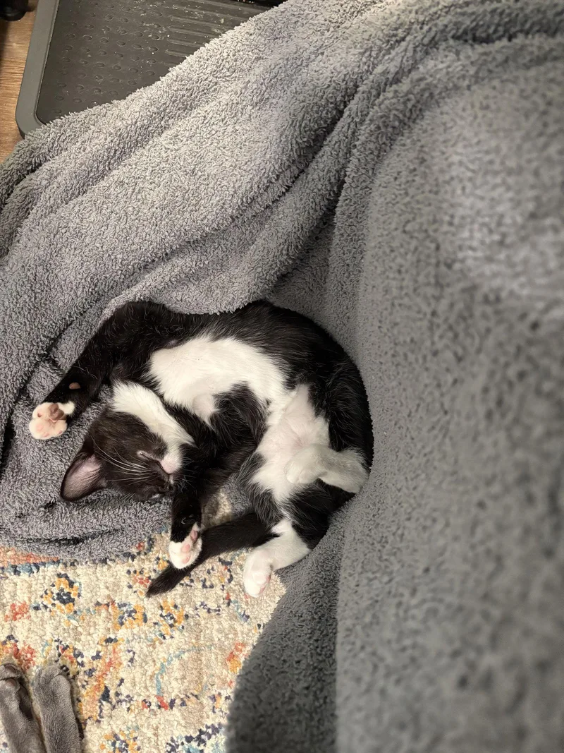 Eightball thumbnail 2