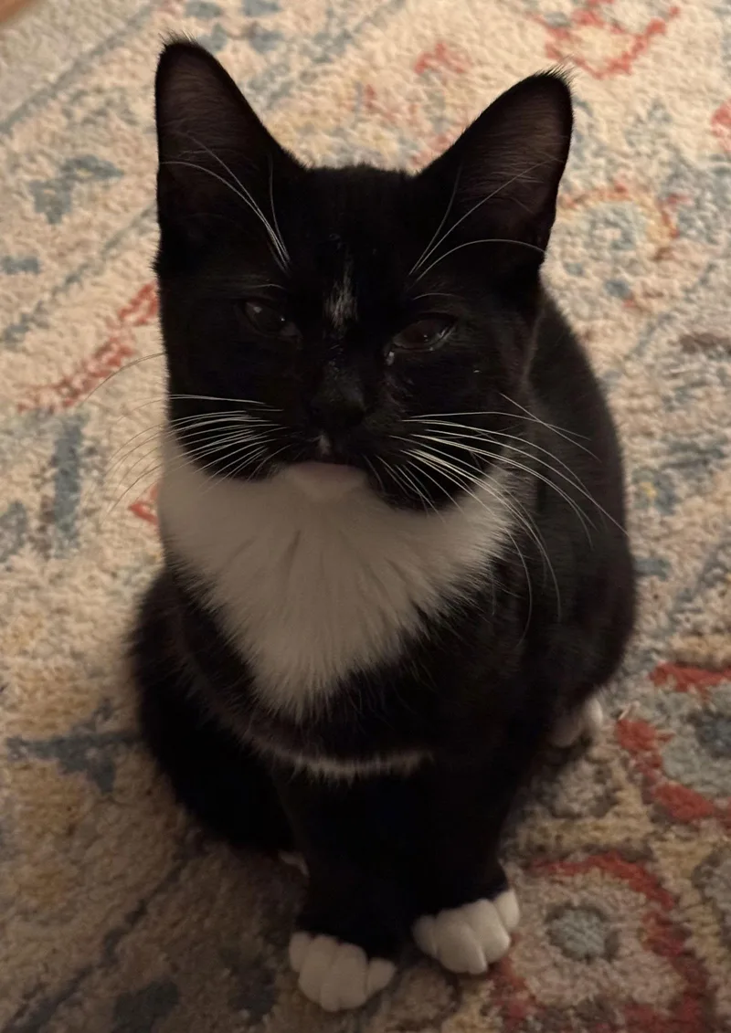 Eightball thumbnail 3