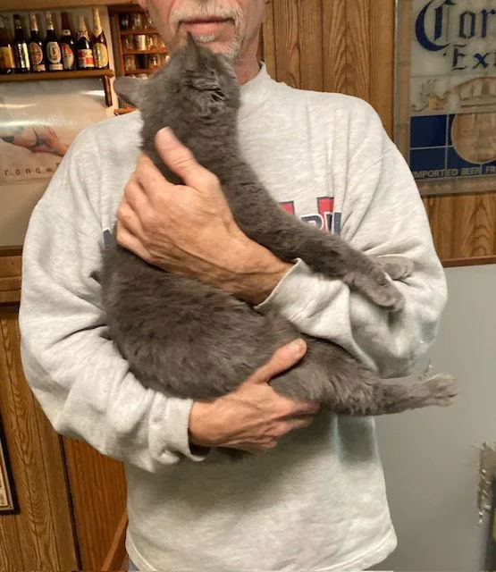 Meredith  Aka  thumbnail 3