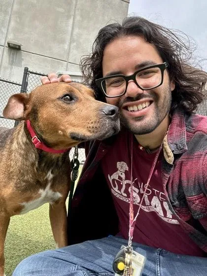 A young large-sized male Brown / Chocolate Mixed Breed dog named Beatboxing Puppy for adoption in Wichita, KS