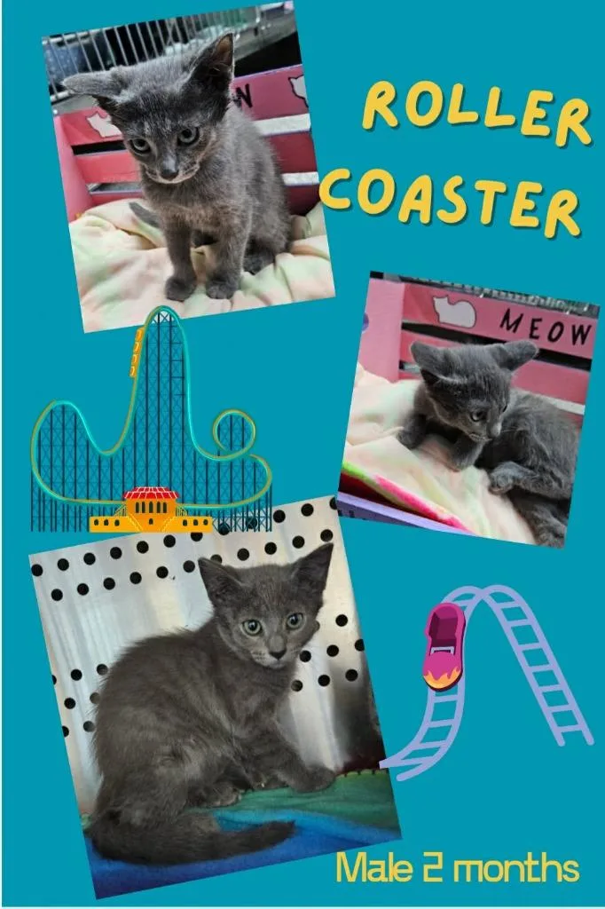 Rollercoaster