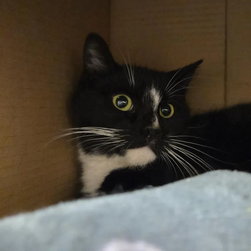 Esmerelda thumbnail 2