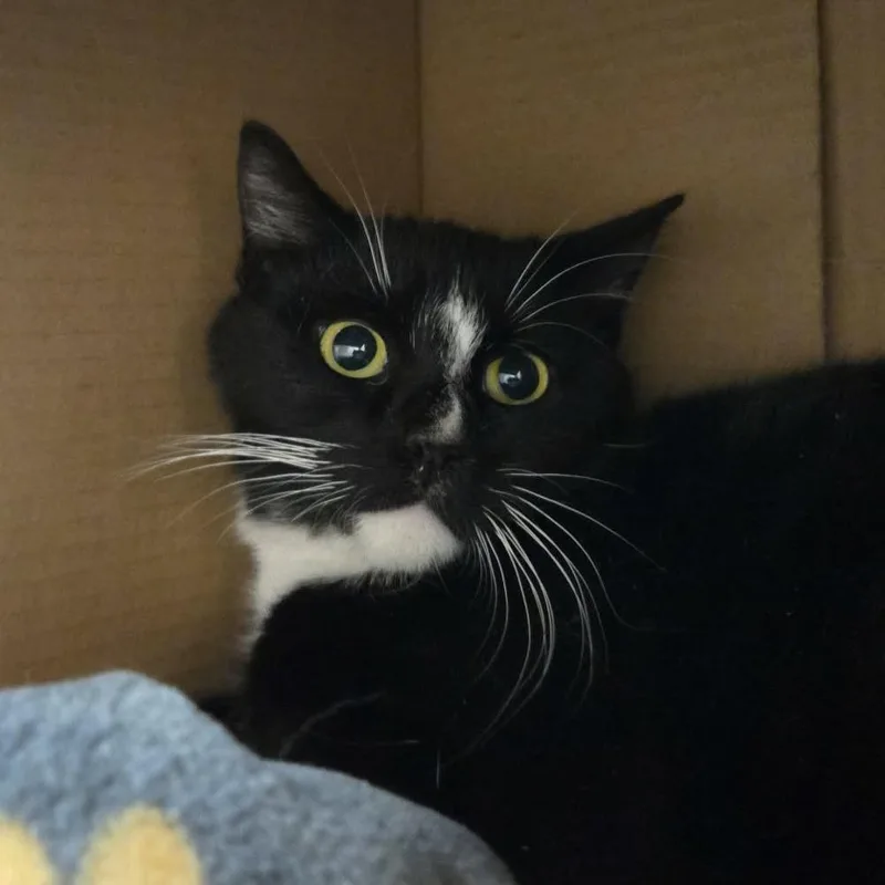 Esmerelda thumbnail 3